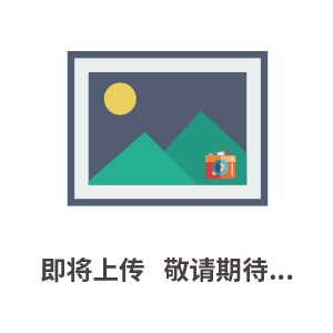 德國(guó)洛森離心風(fēng)機(jī)DRAD279-4S全新正品